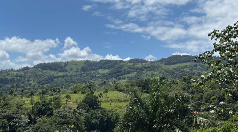 ecolodge