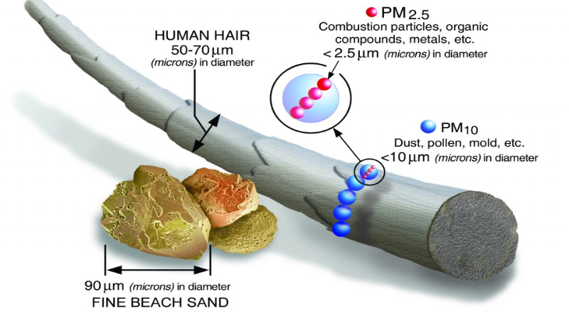 fine particulate pollution